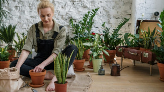 Merawat Tanaman Buat Stres Hilang? Ini Penjelasan Psikologinya!