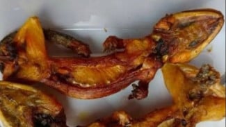 7 Makanan Ekstrem di Indonesia yang Bikin Penasaran dan Uji Nyali
