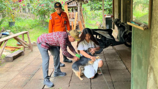 Cegah Penyebaran Rabies Sebanyak 132 HPR Divaksin di Desa Pengeragoan