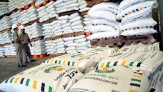 Petani Susah Dapatkan Pupuk Subsidi, Kementan Klaim Realisasi Baru 59 Persen