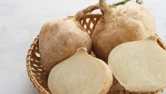 Bukan Sekadar Buah, Ini 7 Manfaat Bengkoang Bagi Tubuh