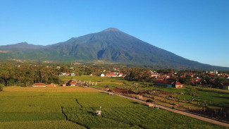 Menjelajahi Desa Wisata Wukirsari Yogyakarta, Destinasi Budaya yang Mendunia