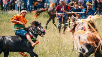 Festival Pasola, Pesona Tradisi di Sumba Nusa Tenggara Timur