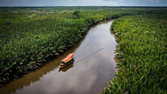 Kalimantan Tengah, Destinasi Wisata Primadona Wisatawan Mancanegara