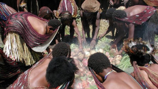 Tradisi Bakar Batu Papua, Ritual Kebersamaan dan Syukur