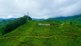 5 Tempat Wisata Instagramable Di Bogor Yang Hits, Nomor 3 Bikin Betah Liburan Sekolah!