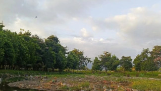 Menteri LH Nilai Tutupan Hutan Bali Minim, Akibatkan Banjir Melanda