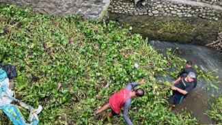 PUPR Badung Bersihkan Eceng Gondok dan Lumpur Pasca Banjir