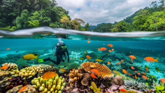 Liburan ke Bunaken? Ini Rekomendasi Resort yang Wajib Kamu Coba!