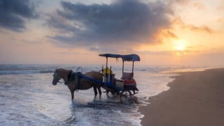 Pantai Parangtritis Yogyakarta, Surga Wisata dengan Aura Mistis Laut Selatan