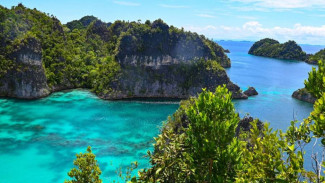 Situs Gambar Cadas Teluk Kabui di Dinding Tebing Raja Ampat