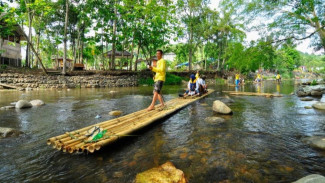 Keajaiban Hutan Kalimantan, Jantung Kehidupan yang Memukau
