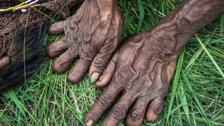 Rahasia di Balik Tradisi Potong Jari Papua