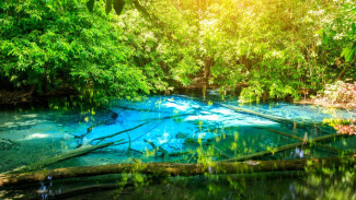 Danau Paisu Pok Surga Alam Tersembunyi Sulawesi Tengah