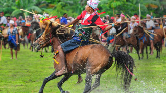 Pasola, Tradisi Perang Kuda yang Menjadi Simbol Kearifan Lokal Sumba