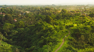 5 Destinasi Forest Bathing Terbaik di Bali untuk Menenangkan Jiwa
