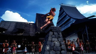 Lompat Batu Nias, Atraksi Budaya yang Jadi Identitas Bangsa