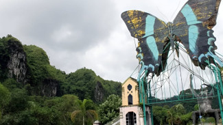 Taman Nasional Bantimurung Bulusaraung, Keajaiban Karst dan Keanekaragaman Hayati Sulawesi Selatan