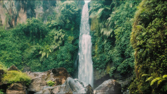 Madakaripura Tirai Air Abadi di Lembah Sunyi Probolinggo