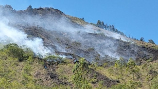 Kebakaran di Gunung Batur Bali, Titik Api Sulit Dijangkau Petugas