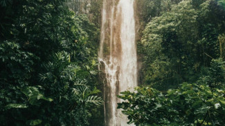 Pesona Air Terjun Kabut Pelangi di Lumajang, Indah dengan Lapisan Kabut