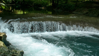 Sungai Citumang, Oase Hijau untuk Petualangan Air Santai di Pangandaran
