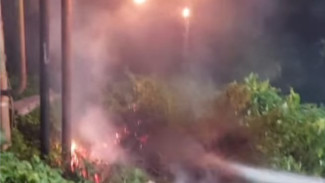 Kebakaran Tumpukan Kayu dan Sampah di Kuta, Kabel PLN Ikut Terbakar