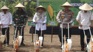 Swasembada Pangan NTB Digenjot, Pemprov dan Kapolda Ajak Petani Tanam Jagung Serentak