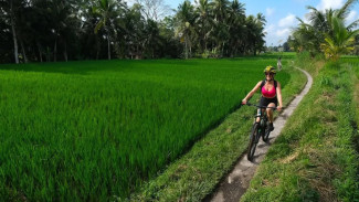 Sensasi Bersepeda di Atas Awan, Pesona Alam Bukit Campuhan Ubud