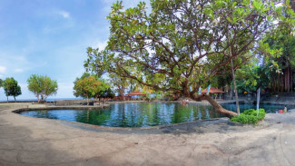 Air Sanih Buleleng Pesona Kolam Alami Tepi Laut Bali dengan Mata Air Tawar Abadi