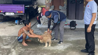 Cegah Rabies, 384 Hewan Divaksin di Desa Yeh Embang Jembrana