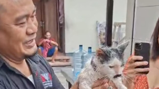 Damkar Badung Selamatkan Dua Kucing dari Sumur Sedalam 15 Meter