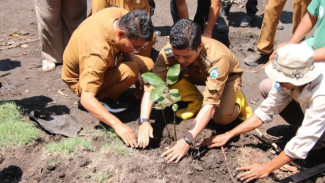 Lindungi Ekosistem Pesisir, Dompu Tanam Ribuan Bibit Mangrove