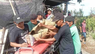 Kakek di Lombok Timur Ditemukan Tewas di Sawah, Diduga Alami Sakit Jantung