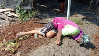 Polisi Selidiki Kematian Kakek Batuyang yang Ditemukan Tewas di Sawah Pringgebaya