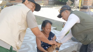 Jembrana Gelar Vaksinasi Rabies Massal di Desa Perancak