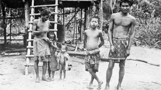 Adaptasi Orang Rimba di Tengah Hutan yang Kian Sempit