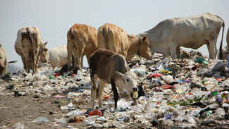 NTB Darurat Sampah, Aparat Gabungan dan Warga Gotong Royong Bersihkan Kota Mataram