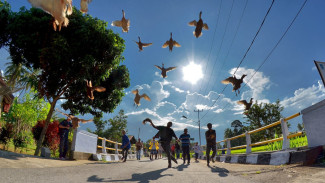 Menjaga Sayap Budaya Pacu Itiak Payakumbuh