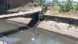 Petani Bajulmati Terpaksa Gunakan Air Genangan Akibat Proyek Irigasi Keringkan Sungai