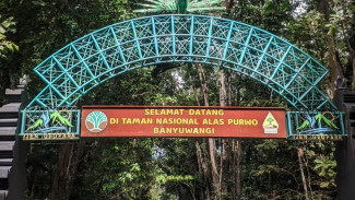 Taman Nasional Alas Purwo Banyuwangi Wisata Alam Eksotis Penuh Misteri