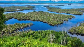 Jelajah Danau Sentarum Tempat Keajaiban Alam di Kapuas Hulu