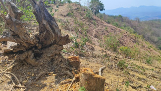 Hutan Kritis, Kota Bima Dalam Ancaman Banjir