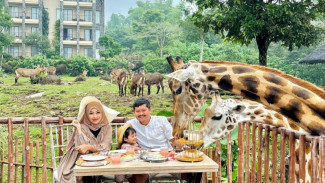 Baobab Safari Resort, Menginap di Tengah Alam Dikelilingi Satwa Liar