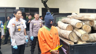 Nyolong Kayu Hutan, Warga Melaya Dibekuk Polisi