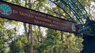 Misteri Alas Purwo Banyuwangi! Kerajaan Gaib dan Dunia Tak Kasat Mata