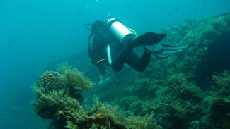 Pantai Amed Bali Pesona Bawah Laut dan Jejak Peninggalan Perang Dunia II