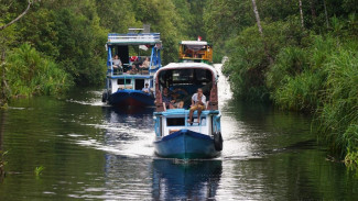 Ekowisata Eksklusif di Jantung Borneo, Mengapa Taman Nasional Tanjung Puting Wajib Masuk Bucket List Anda