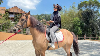 Liburan di Mini Zoo Jember, Wisata Edukasi Keluarga yang Bikin Betah Seharian