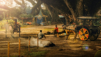 De Djawatan, Wisata Banyuwangi dengan Keindahan yang Luar Biasa